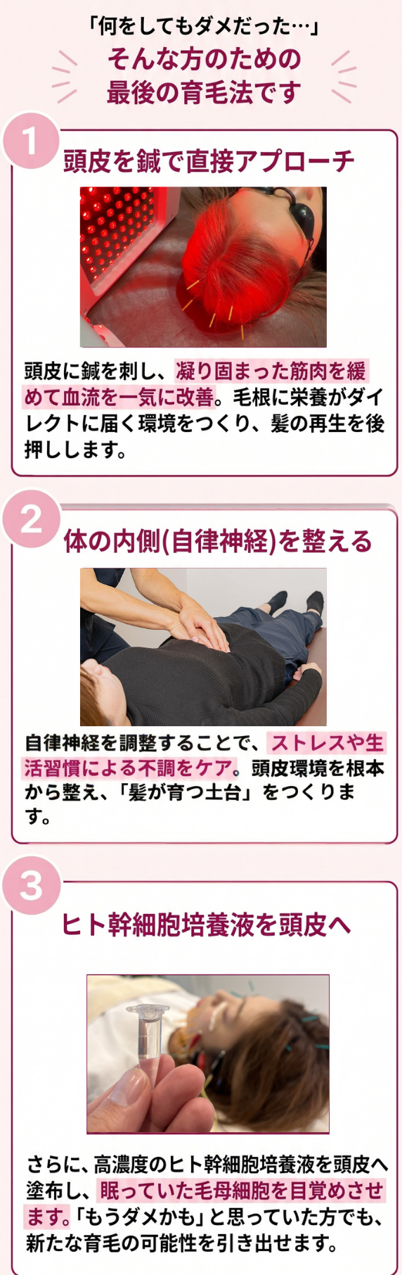 最後の育毛法