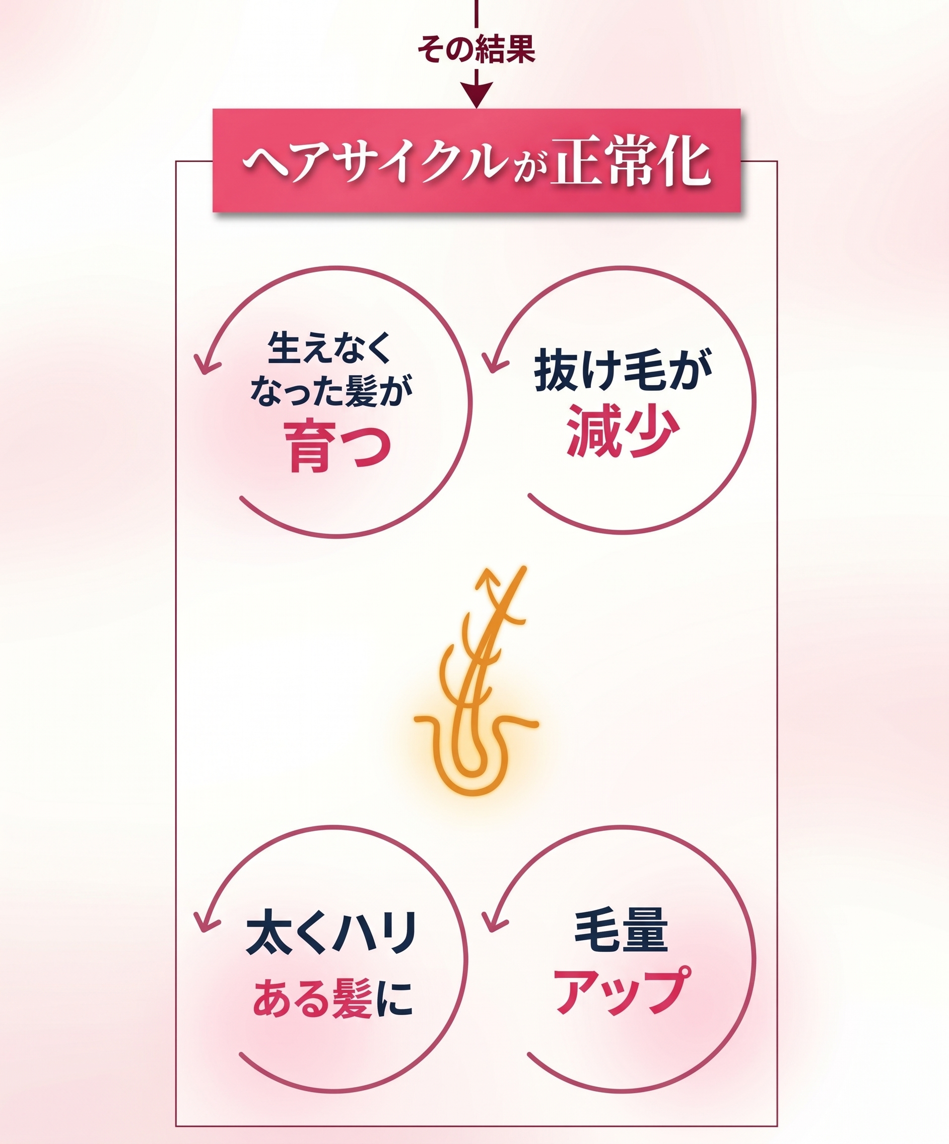 ヘアサイクル3