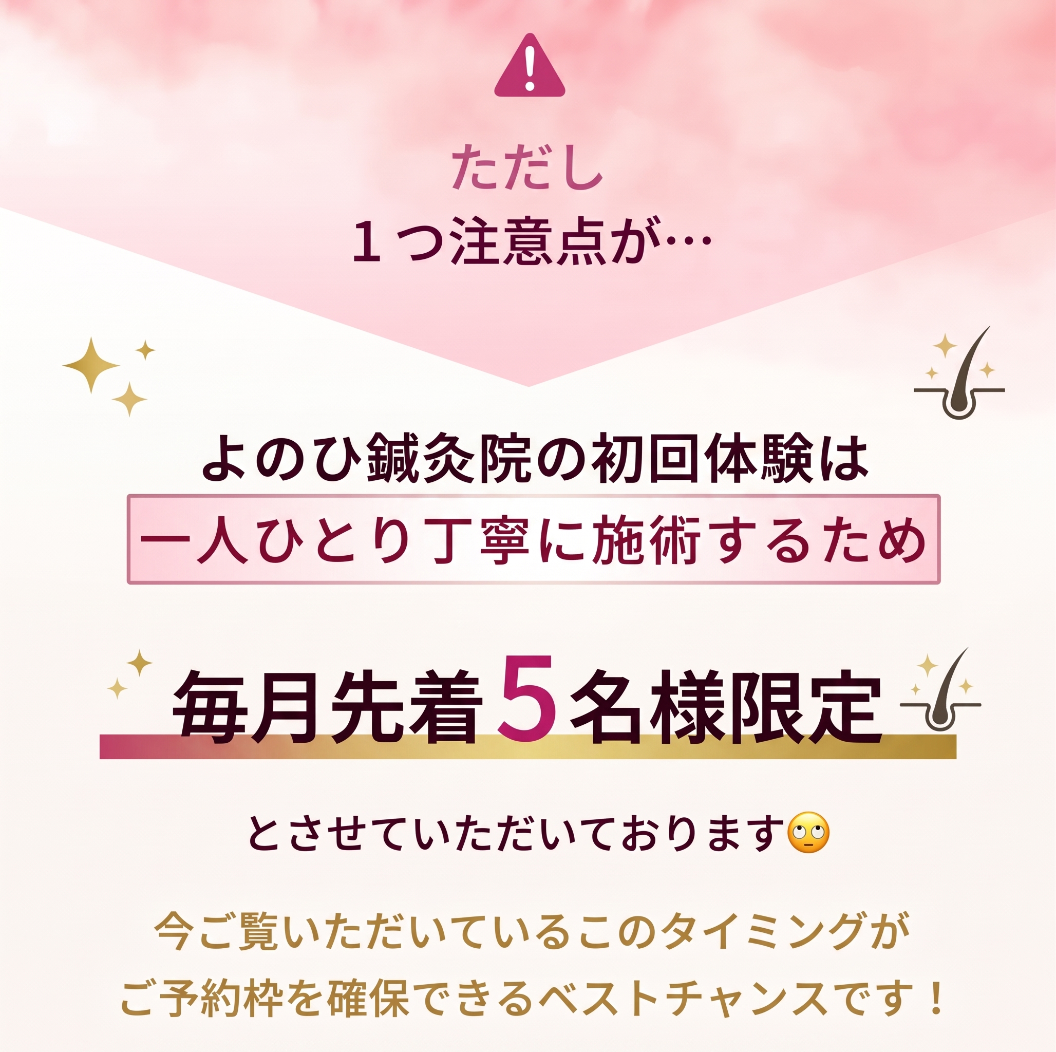 限定案内